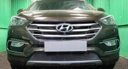 Защитная сетка на бампер Russtal Hyundai Santa Fe DM рестайлинг (2015-2019) (черная)