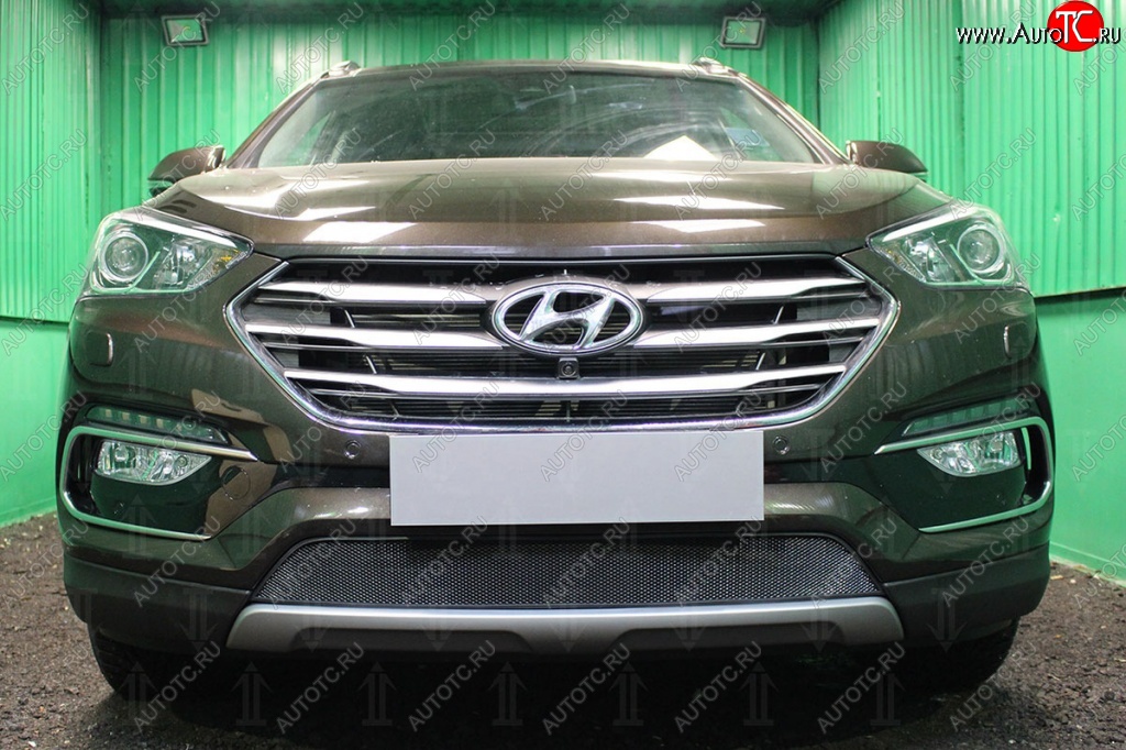 1 469 р. Защитная сетка на бампер Russtal Hyundai Santa Fe DM рестайлинг (2015-2019) (черная)  с доставкой в г. Воронеж
