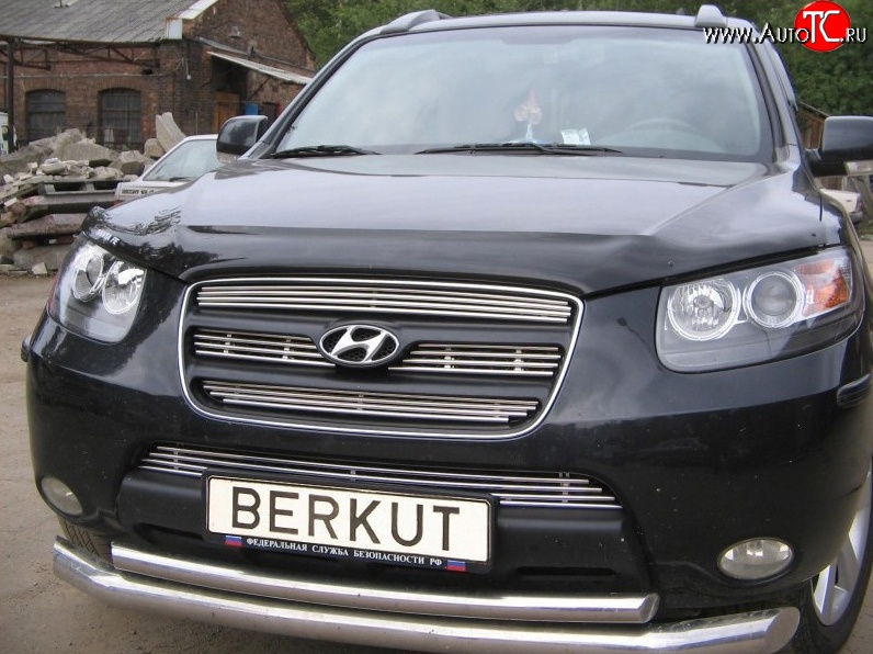 5 999 р. Декоративная вставка решетки радиатора Berkut Hyundai Santa Fe CM дорестайлинг (2006-2009)  с доставкой в г. Воронеж