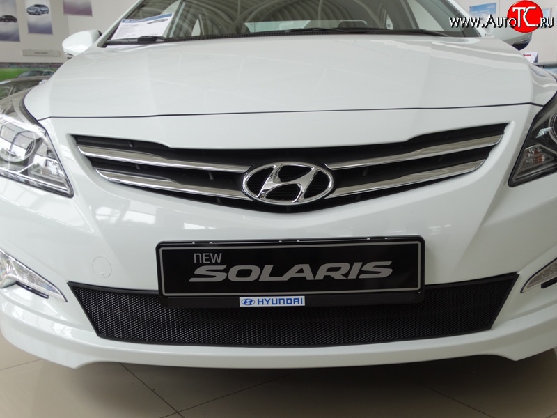 2 099 р. Сетка на бампер Russtal (черная) Hyundai Solaris RBr седан рестайлинг (2014-2017)  с доставкой в г. Воронеж
