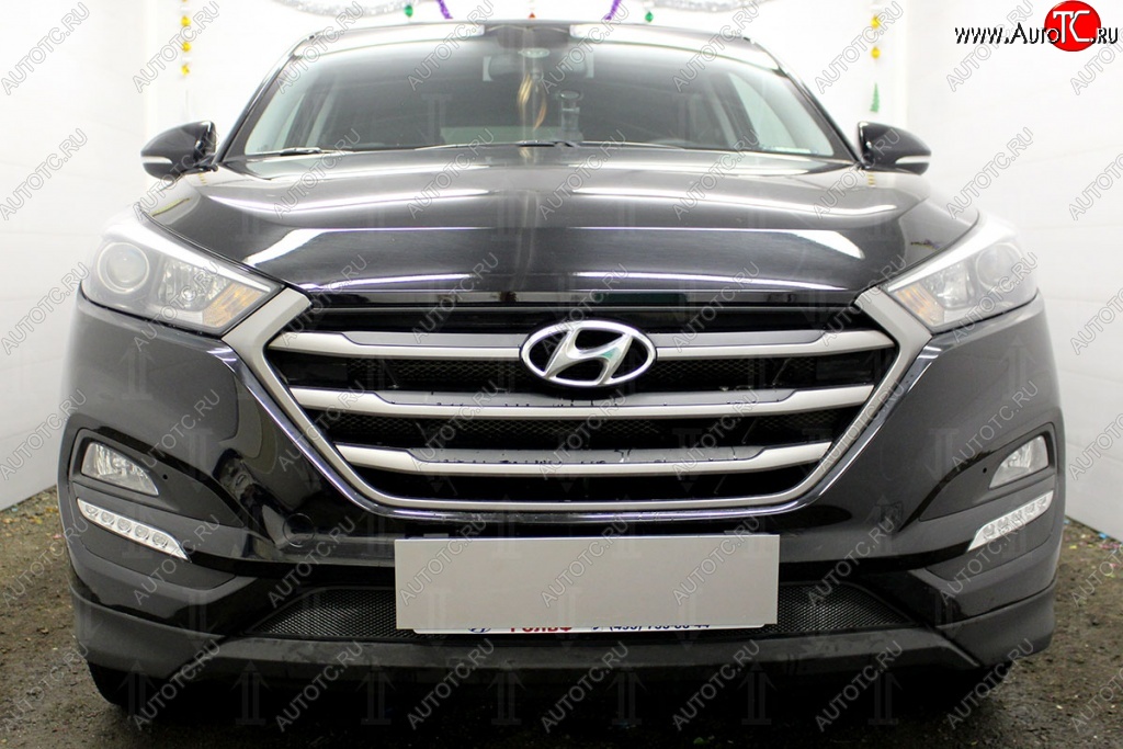 1 469 р. Защитная сетка на бампер Russtal (черная) Hyundai Tucson TL дорестайлинг (2015-2018)  с доставкой в г. Воронеж