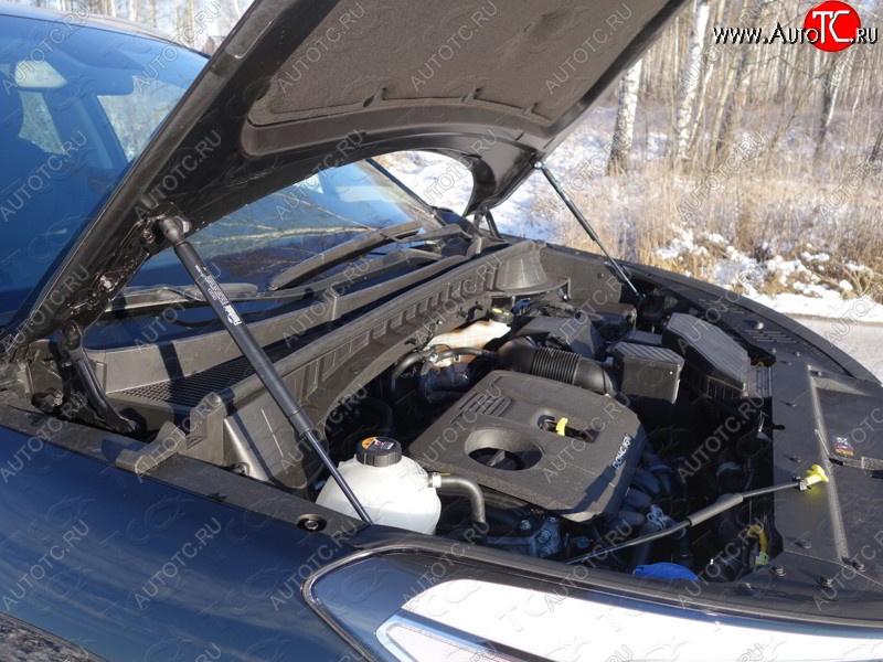 2 199 р. Газовые упоры капота Berkut Hyundai Tucson TL дорестайлинг (2015-2018)  с доставкой в г. Воронеж