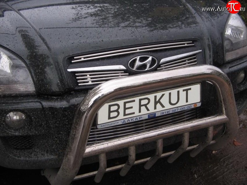 4 799 р. Декоративная вставка воздухозаборника Berkut Hyundai Tucson JM (2004-2010)  с доставкой в г. Воронеж