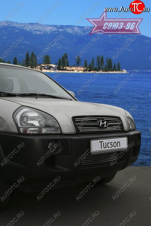 3 599 р. Декоративные элементы решетки радиатора Souz-96 (d10) Hyundai Tucson JM (2004-2010)  с доставкой в г. Воронеж