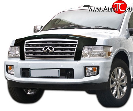 5 079 р. Дефлектор капота NovLine INFINITI QX56 Z62 (2010-2013)  с доставкой в г. Воронеж