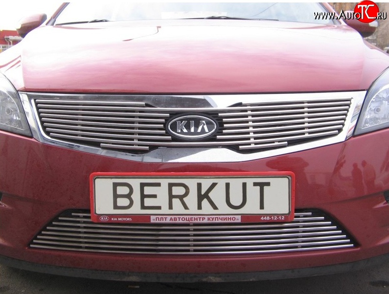 5 099 р. Декоративная вставка решетки радиатора Berkut KIA Ceed 1 ED рестайлинг, хэтчбэк 5 дв. (2010-2012)  с доставкой в г. Воронеж