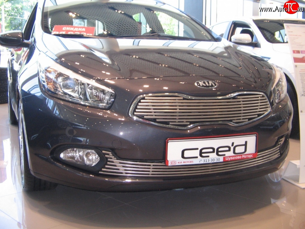 5 099 р. Декоративная вставка решетки радиатора Berkut KIA Ceed 1 ED рестайлинг, хэтчбэк 5 дв. (2010-2012)  с доставкой в г. Воронеж