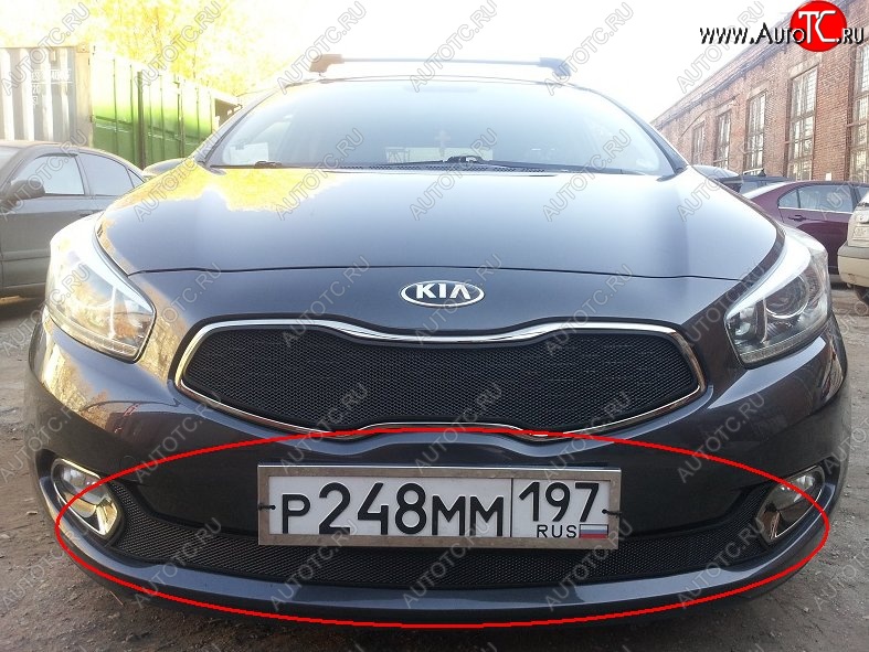 2 099 р. Нижняя защитная сетка на бампер Russtal (черная) KIA Ceed 1 ED рестайлинг, хэтчбэк 5 дв. (2010-2012)  с доставкой в г. Воронеж