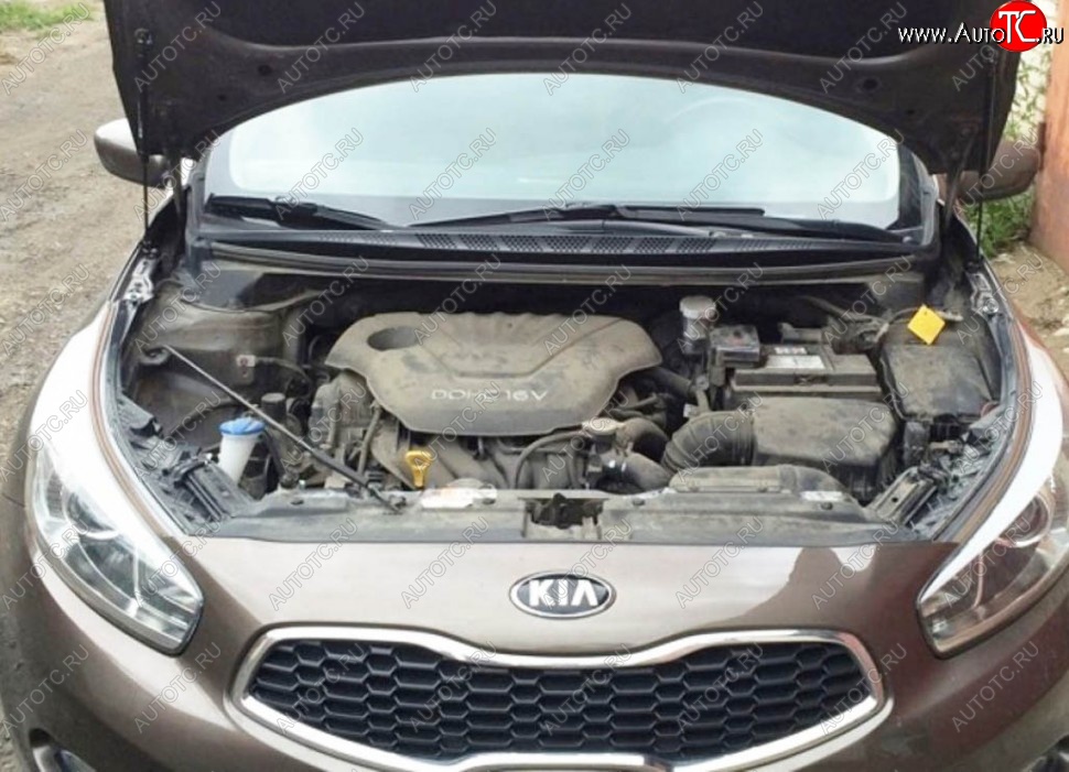 2 199 р. Газовые упоры капота Berkut KIA Ceed 1 ED рестайлинг, хэтчбэк 5 дв. (2010-2012)  с доставкой в г. Воронеж