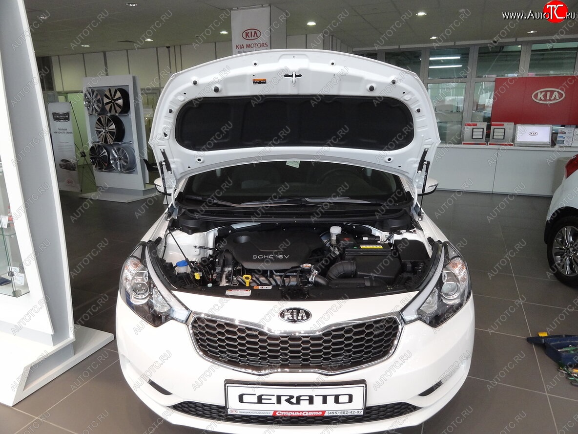 2 049 р. Упоры капота Russtal KIA Cerato 3 YD рестайлинг седан (2016-2019)  с доставкой в г. Воронеж