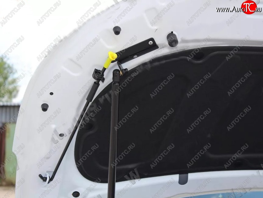 2 689 р. Газовый упор капота Tuning-Sport KIA Rio 3 QB дорестайлингхэтчбек5дв. (2011-2015)  с доставкой в г. Воронеж