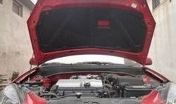 Отделка капота M-VRS  