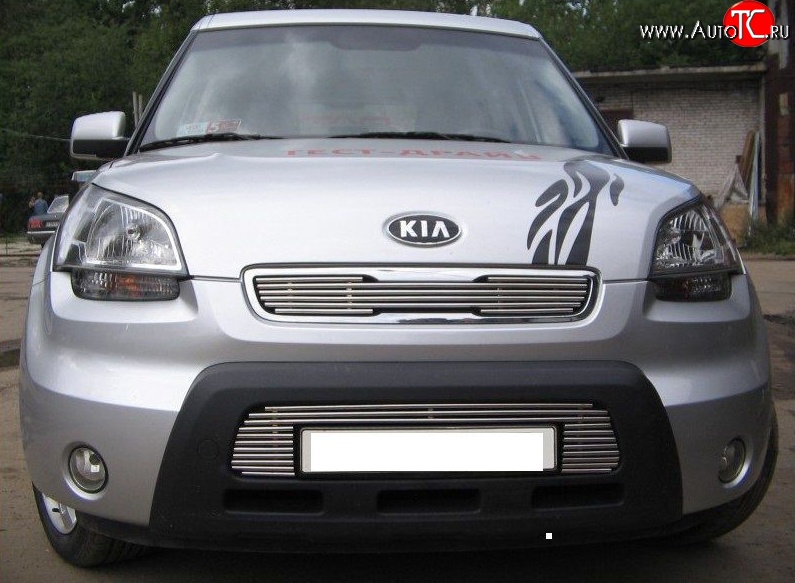 4 099 р. Декоративная вставка решетки радиатора AM Berkut KIA Soul AM дорестайлинг (2008-2011)  с доставкой в г. Воронеж
