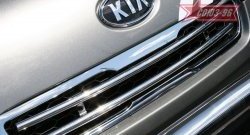 Декоративный элемент решетки радиатора Souz-96 (d16) KIA Soul  AM (2008-2011) дорестайлинг
