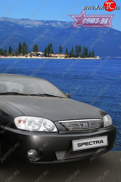 4 274 р. Декоративный элемент решётки радиатора Souz-96 (d10) KIA Spectra (2000-2009)  с доставкой в г. Воронеж