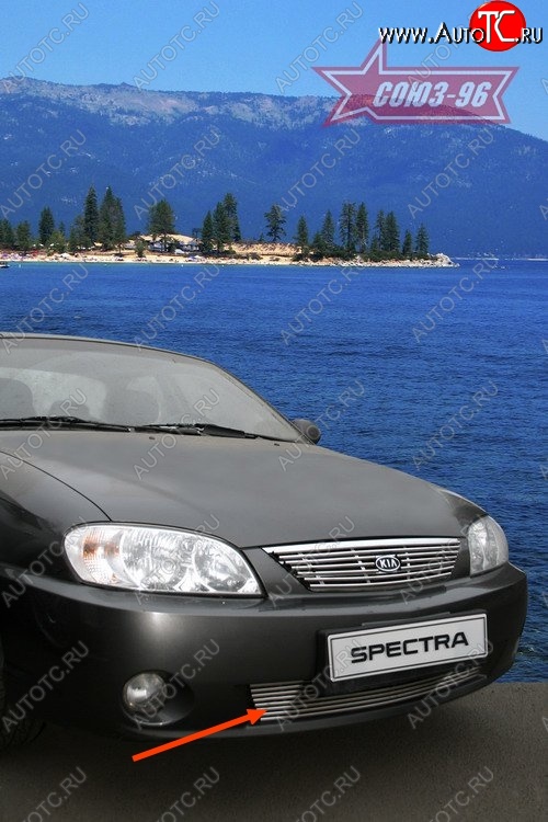 4 049 р. Декоративный элемент воздухозаборника Souz-96 (d10)  KIA Spectra (2000-2009)  с доставкой в г. Воронеж