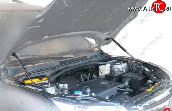 2 149 р. Газовые упоры капота Berkut Lifan X60 2-ой рестайлинг (2016-2025)  с доставкой в г. Воронеж
