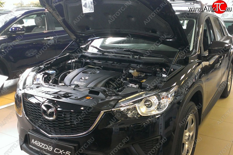 2 199 р. Газовые упоры капота Berkut Mazda CX-5 KE рестайлинг (2015-2017)  с доставкой в г. Воронеж