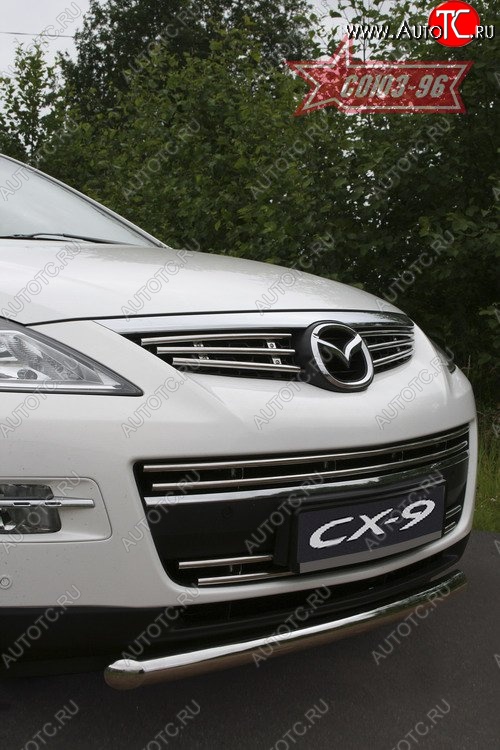 9 224 р. Декоративные элементы решетки радиатора Souz-96 (d16) Mazda CX-9 TB дорестайлинг (2007-2009)  с доставкой в г. Воронеж