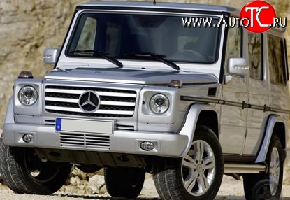 19 199 р. Решётка радиатора AMG Mercedes-Benz G class W463 5 дв. дорестайлинг (1989-1994) (Неокрашенная)  с доставкой в г. Воронеж