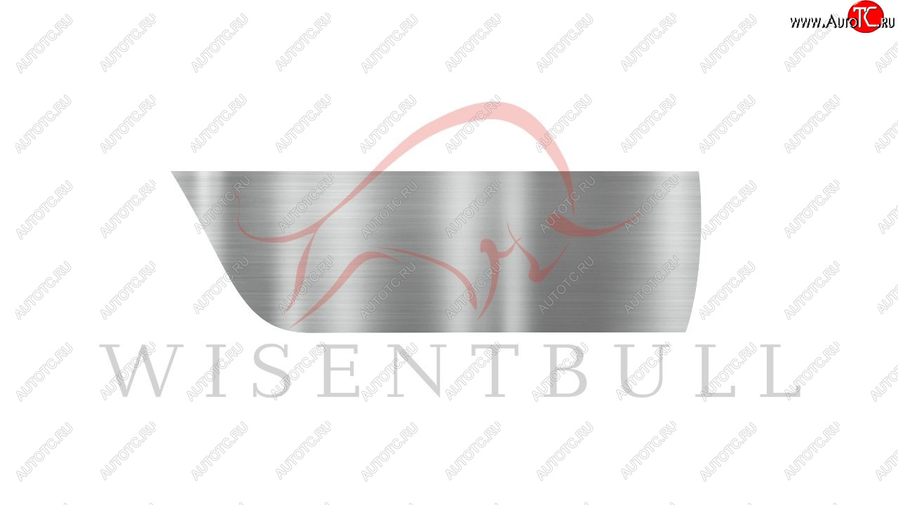1 989 р. Ремкомплект правой двери Wisentbull Mitsubishi Lancer 8 дорестайлинг седан (1995-1997)  с доставкой в г. Воронеж