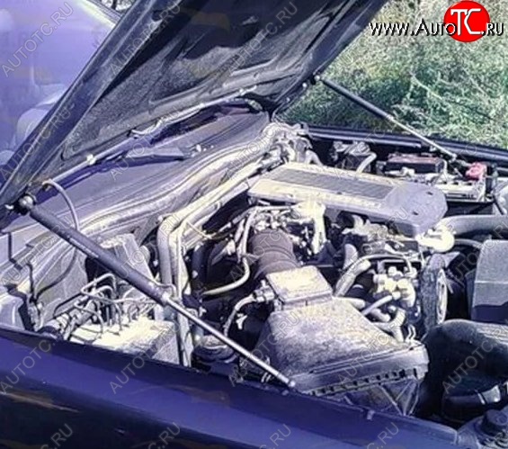 2 199 р. Газовые упоры капота Berkut Mitsubishi Pajero 3 V70 дорестайлинг (1999-2003)  с доставкой в г. Воронеж