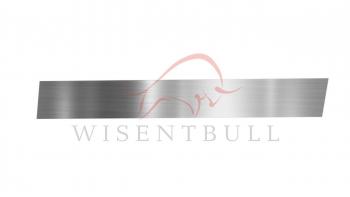 Ремкомплект правой двери Wisentbull Nissan Almera  N16 - Sunny  N16