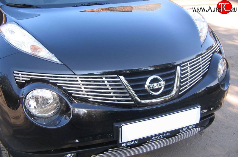 6 499 р. Декоративная вставка решетки радиатора Berkut Nissan Juke 1 YF15 дорестайлинг (2010-2014)  с доставкой в г. Воронеж