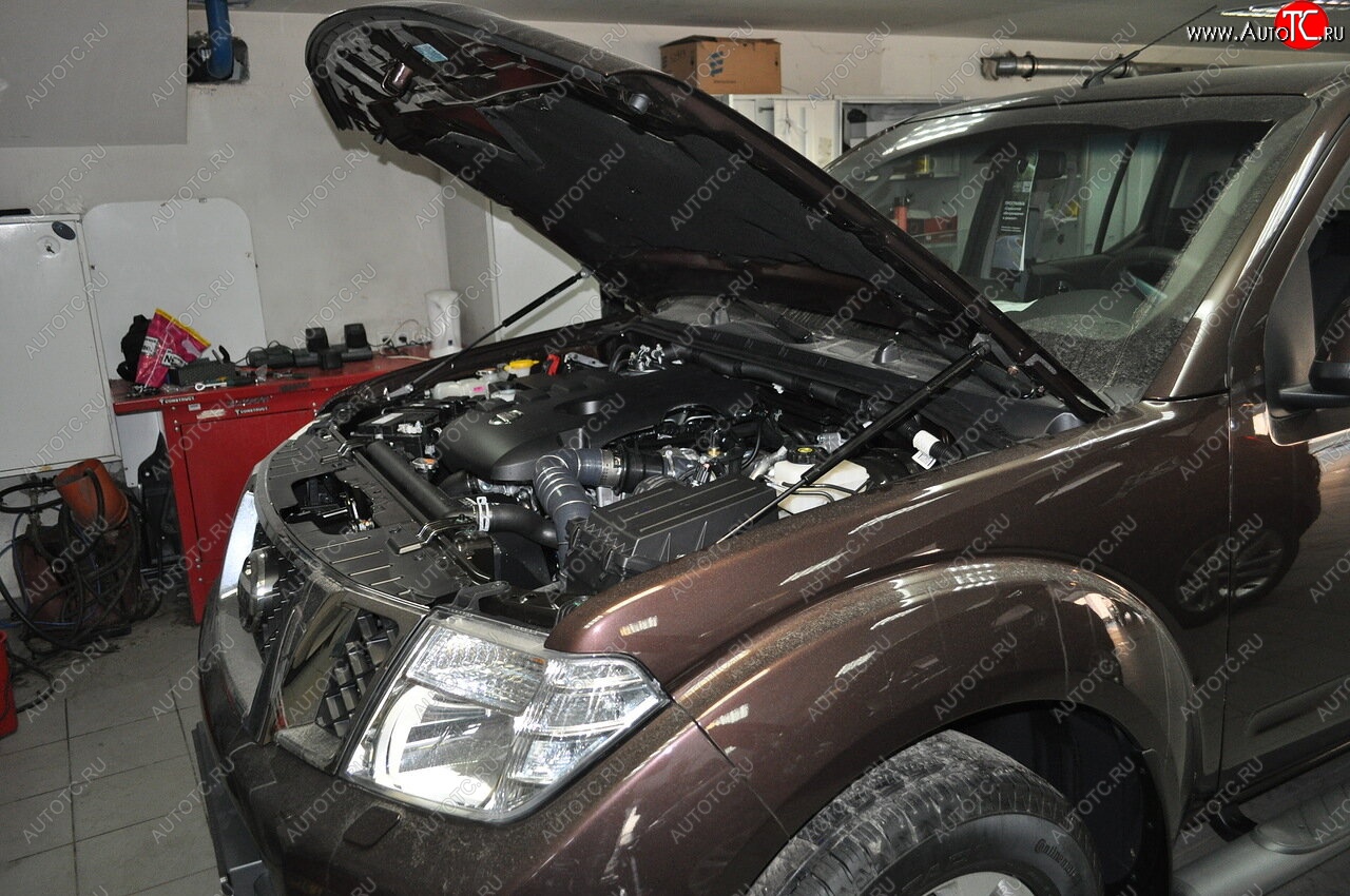 2 199 р. Упоры капота Russtal  Nissan Navara  2 D40 - Pathfinder  R51  с доставкой в г. Воронеж