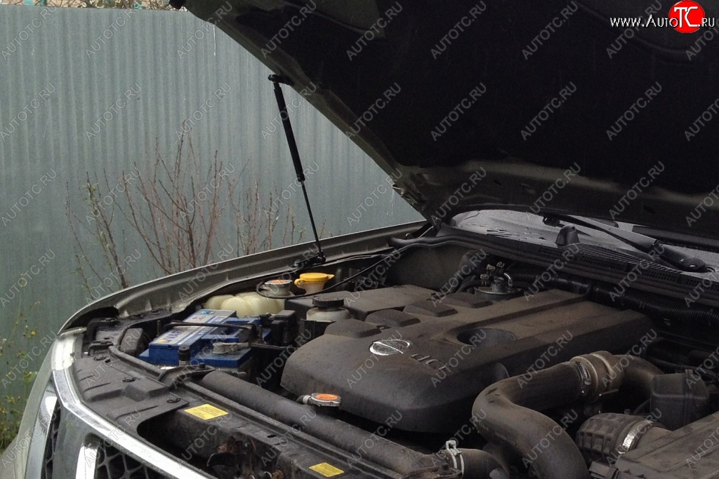 1 699 р. Газовые упоры капота Berkut Nissan Pathfinder R51 рестайлинг (2009-2014)  с доставкой в г. Воронеж