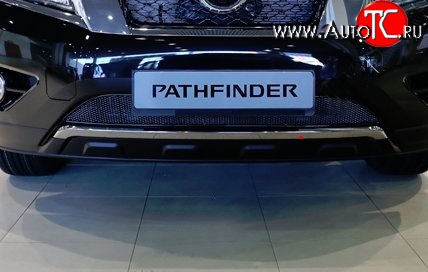 1 799 р. Сетка на бампер Novline Nissan Pathfinder R52 дорестайлинг (2012-2017)  с доставкой в г. Воронеж