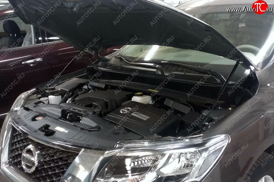 2 199 р. Газовые упоры капота Berkut Nissan Pathfinder R52 дорестайлинг (2012-2017)  с доставкой в г. Воронеж