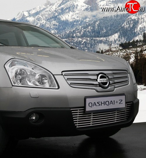314 р. Декоративные вставки решетки радиатора Novline  Nissan Qashqai +2  1 (2008-2010) J10 дорестайлинг  с доставкой в г. Воронеж