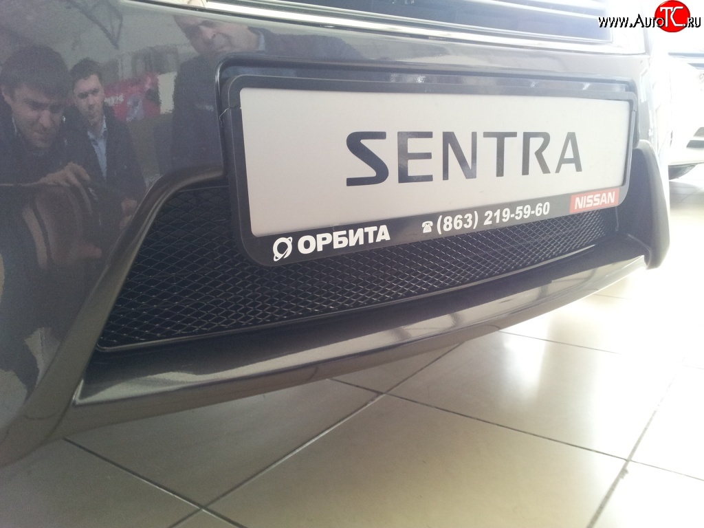 1 799 р. Сетка на бампер Novline  Nissan Sentra  7 (2014-2017) B17  с доставкой в г. Воронеж