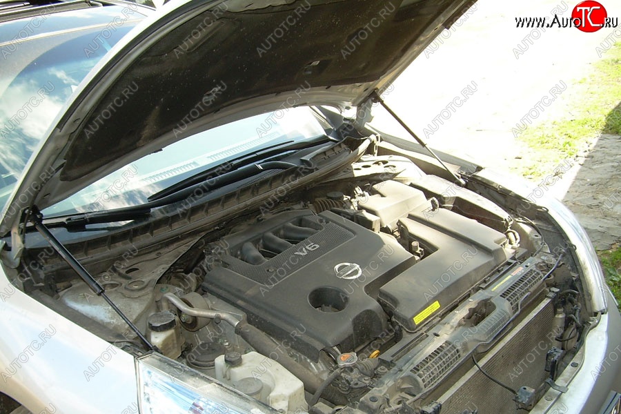 2 199 р. Газовые упоры капота Berkut Nissan Teana 2 J32 дорестайлинг (2008-2011)  с доставкой в г. Воронеж