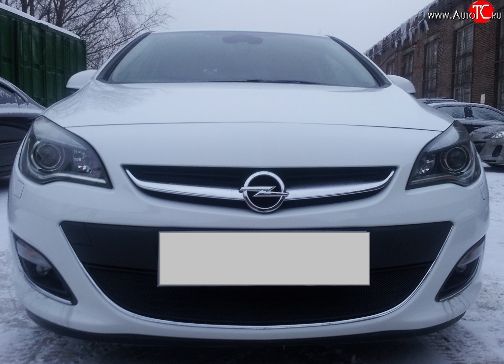 1 469 р. Сетка на бампер Russtal (черная) Opel Astra J хэтчбек 5 дв.  рестайлинг (2012-2017)  с доставкой в г. Воронеж