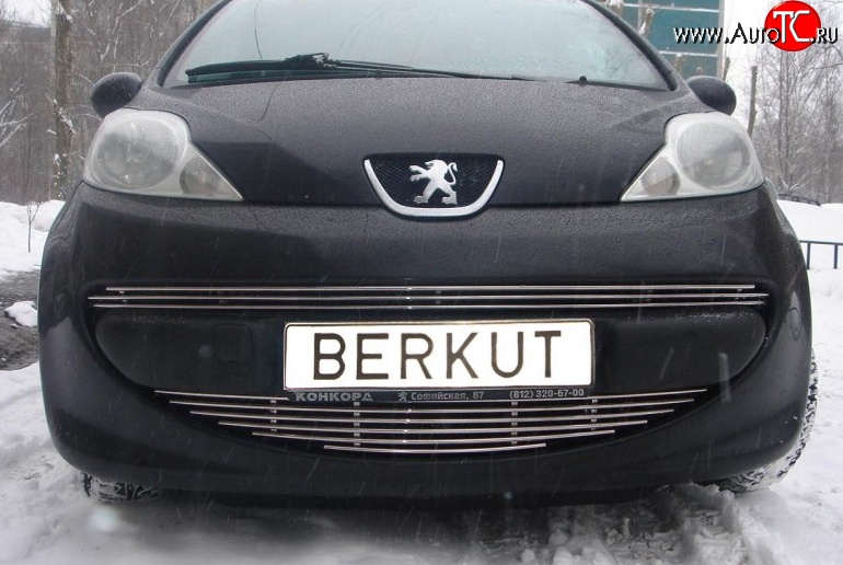7 799 р. Декоративная вставка воздухозаборника Berkut Peugeot 107 PN хэтчбэк 3 дв. дорестайлинг (2005-2009)  с доставкой в г. Воронеж