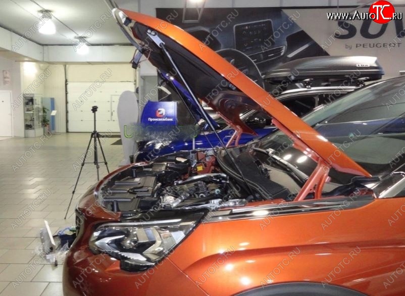 2 474 р. Упоры капота Arbori  Peugeot 3008  2 (2016-2025)  с доставкой в г. Воронеж
