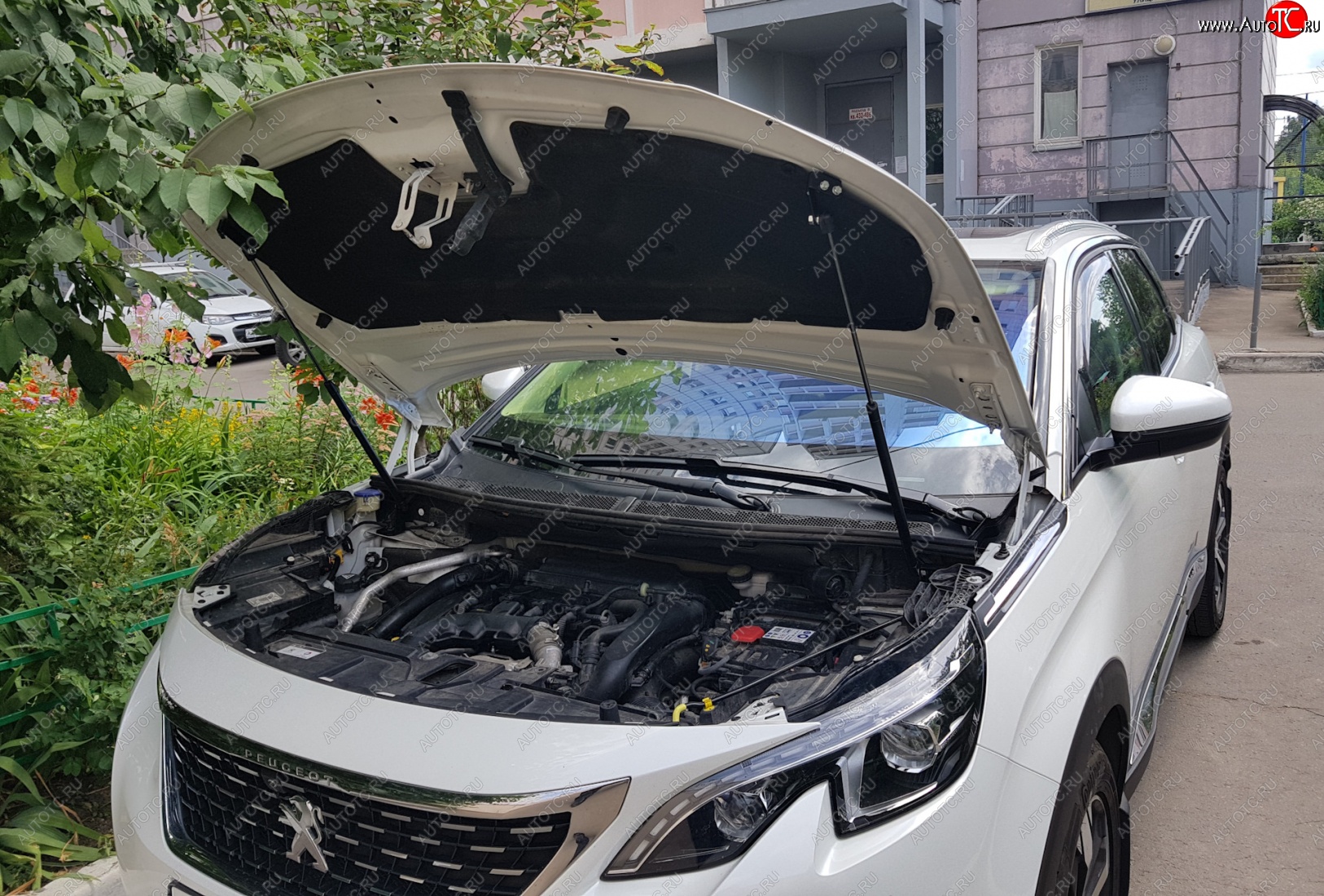 2 799 р. Упоры капота Russtal Peugeot 3008 2 (2016-2025)  с доставкой в г. Воронеж