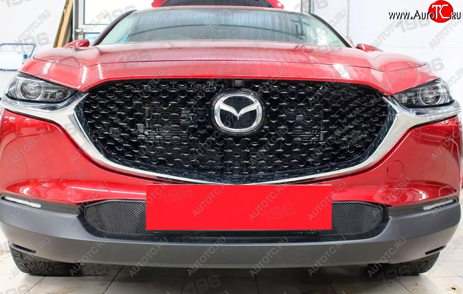2 799 р. Защитная сетка в бампер (низ, ячейка 3х7 мм) Alfeco Стандарт Mazda CX-30 1 DM (2019-2025) (Чёрная)  с доставкой в г. Воронеж