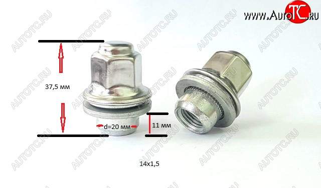 399 р. Колесная гайка (прессшайба, с нерж. колпачком, 37.5 мм) Вектор M14x1.5    с доставкой в г. Воронеж