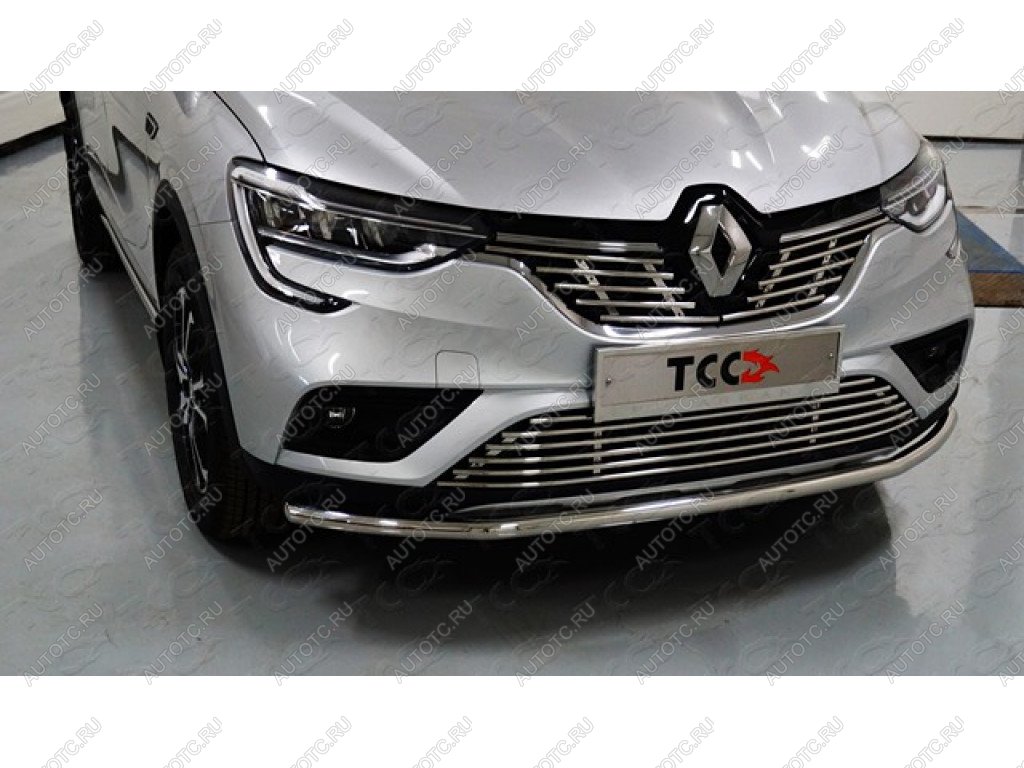 6 549 р. Нижняя декоративная вставка в бампер ТСС Тюнинг  Renault Arkana (2019-2025) (d 12 мм)  с доставкой в г. Воронеж