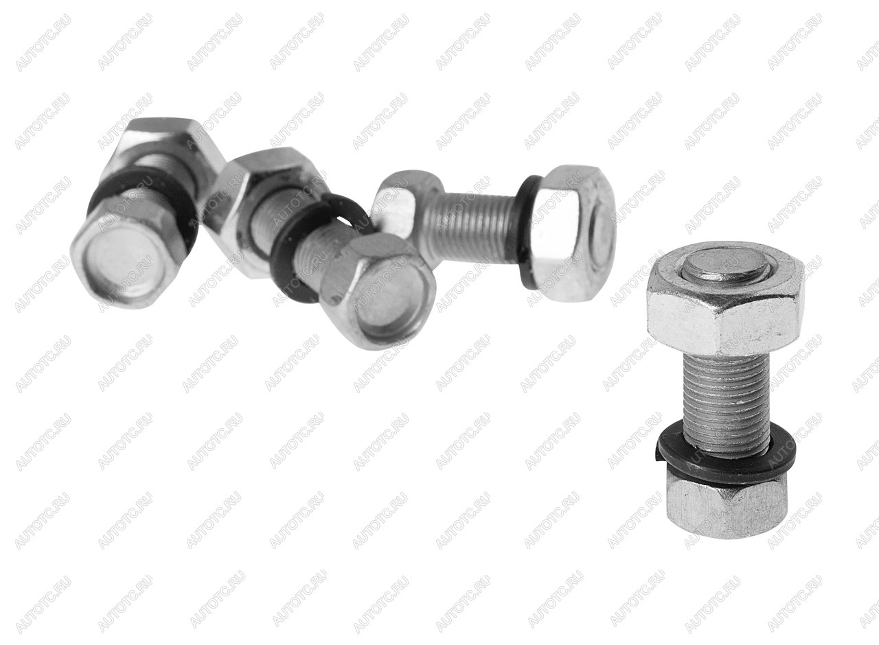 75 р. Болт М10х1.0х25 ГАЗ-3110,3302,2217,УАЗ карданный с гайкой (4шт.) в сборе ЭТНА Красная Этна 2217-22008004  с доставкой в г. Воронеж