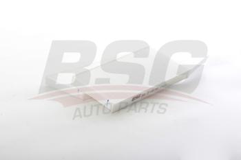 Фильтр воздушный салона RENAULT Master (09-) (2шт.) BSG