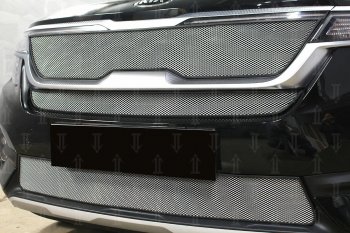 2 899 р. Защитная сетка в бампер (низ, с датчиком SCC, ячейка 3х7 мм) Alfeco Стандарт KIA Seltos (2019-2025) (Хром)  с доставкой в г. Воронеж. Увеличить фотографию 2