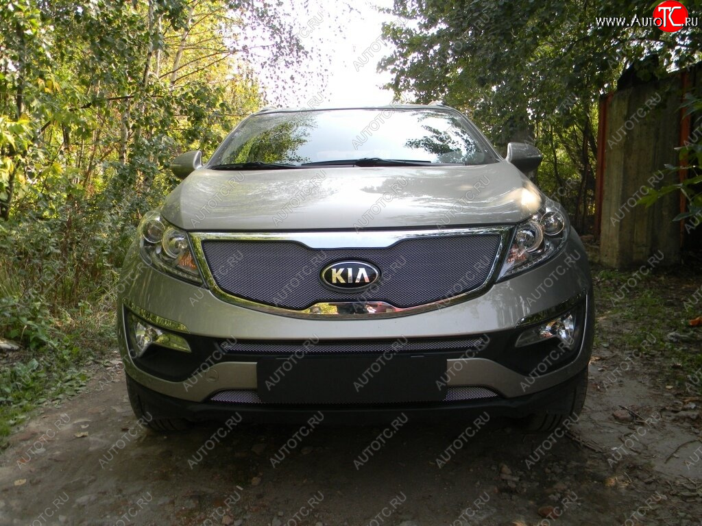 2 699 р. Защитная сетка в бампер (середина, ячейка 3х7 мм) Alfeco Стандарт  KIA Sportage  3 SL (2010-2016) дорестайлинг, рестайлинг (хром)  с доставкой в г. Воронеж