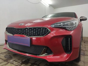 3 089 р. Защитная сетка в бампер (низ, ячейка 3х7 мм) Alfeco Стандарт KIA Stinger (2017-2025) (Чёрная)  с доставкой в г. Воронеж. Увеличить фотографию 4