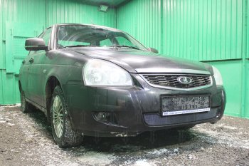 2 259 р. Защитная сетка в бампер (низ, ячейка 3х7 мм) Alfeco Стандарт  Лада Приора ( 2170,  2171,  2172) (2013-2018) седан рестайлинг, универсал рестайлинг, хэтчбек рестайлин (Чёрная)  с доставкой в г. Воронеж. Увеличить фотографию 2