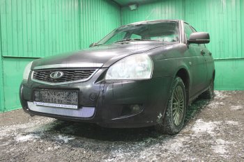 2 299 р. Защитная сетка в бампер (низ, ячейка 3х7 мм) Alfeco Стандарт  Лада Приора ( 2170,  2171,  2172) (2013-2018) седан рестайлинг, универсал рестайлинг, хэтчбек рестайлин (Хром)  с доставкой в г. Воронеж. Увеличить фотографию 2