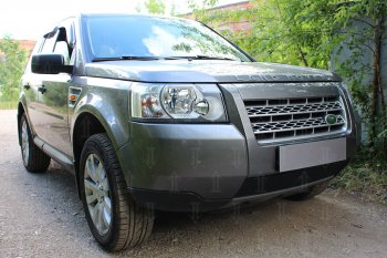 2 899 р. Защитная сетка в бампер (низ, ячейка 3х7 мм) Alfeco Стандарт Land Rover Freelander L359 дорестайлинг (2006-2010) (Чёрная)  с доставкой в г. Воронеж. Увеличить фотографию 2